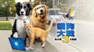 猫狗大战3：爪爪集结！ photo