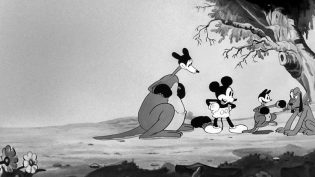 Mickey's Kangaroo photo