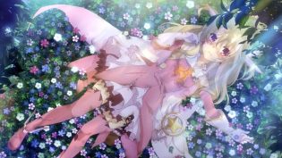 魔法少女☆伊莉雅 photo