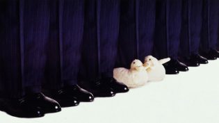 同性三分亲 photo