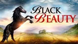 Black Beauty photo