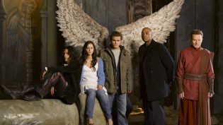 Fallen photo
