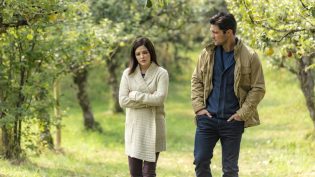 Harvest Love photo