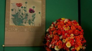 花魁 photo