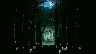 幽灵公主 photo