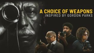A Choice of Weapons: Inspired by Gordon Parks photo