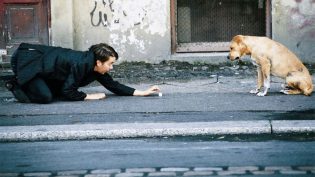 西柏林恋曲 photo