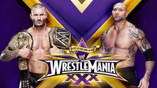WWE 摔角狂热 30 photo