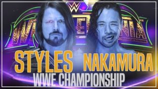 WWE 摔角狂热 34 photo