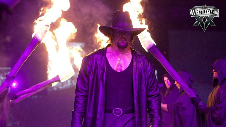 WWE 摔角狂热 20 photo