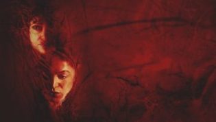 新生，重生 photo