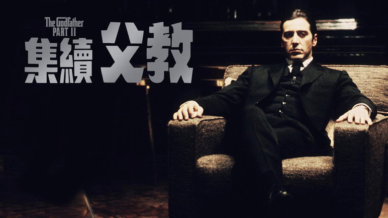 教父2 photo