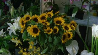 花火 photo