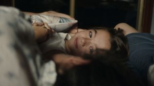 两万种蜜蜂 photo