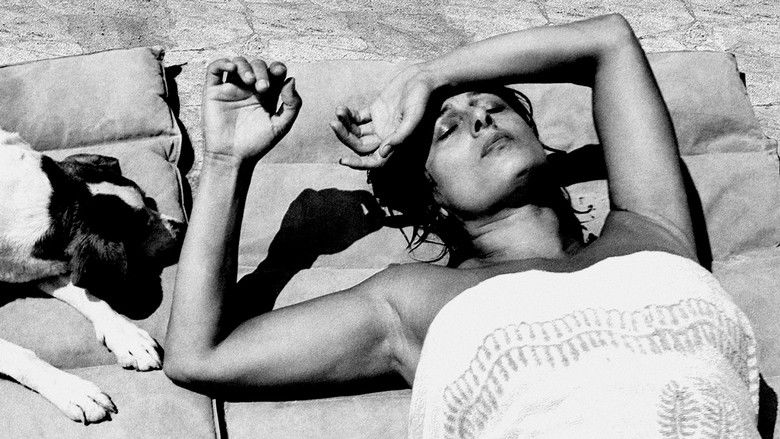 The Treasure of His Youth: The Photographs of Paolo Di Paolo photo