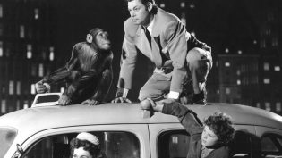 Tarzan's New York Adventure photo