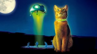鬼马太空猫 photo