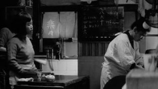 日本昆虫记 photo