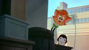 猫咪不跳舞 photo