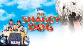 The Shaggy Dog photo