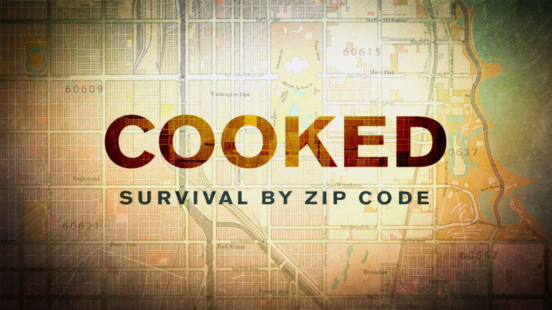 Cooked: Survival by Zip Code photo