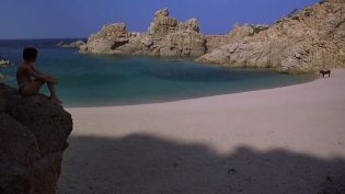 黑神驹 photo