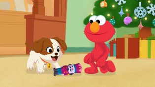 Sesame Street: The Nutcracker photo