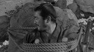 椿三十郎 photo