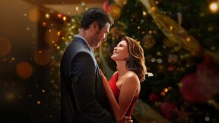 How to Fall in Love by Christmas photo