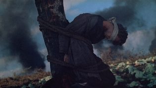 战争与和平4：皮埃尔·别祖霍夫 photo