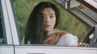 天若有情 photo