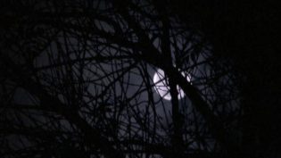 水晶湖回忆：13号星期五的完全历史 photo