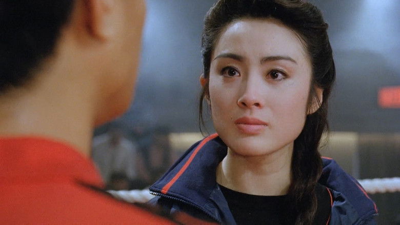 新精武门1991 photo