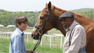 The Derby Stallion photo