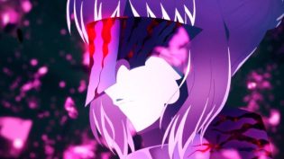 命运之夜——天之杯Ⅱ：迷失之蝶 photo