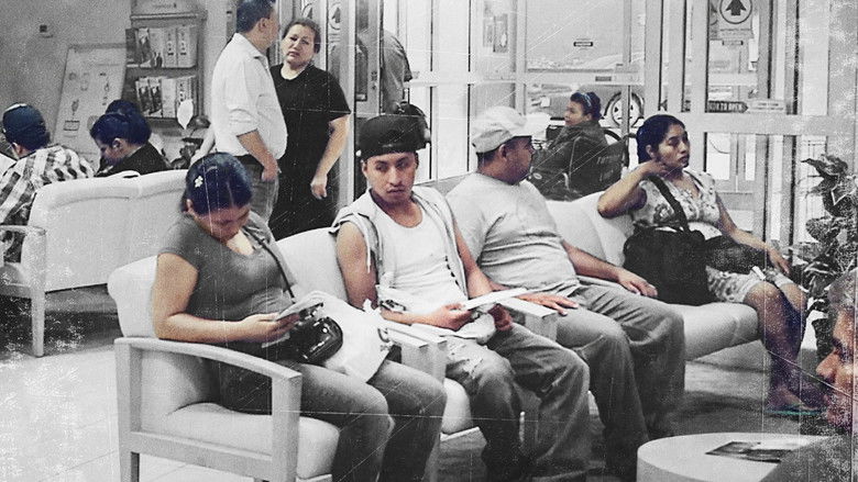 Clínica de Migrantes: Life, Liberty, and the Pursuit of Happiness photo