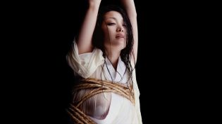 花与蛇3 photo