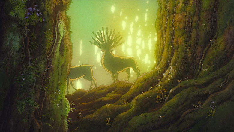 幽灵公主 photo