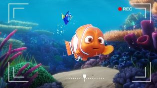 Dory's Reef Cam photo
