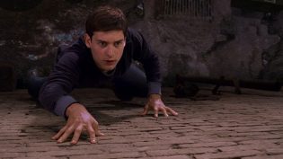 蜘蛛侠 photo